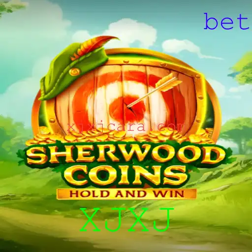 SherwoodCoins: Um Mergulho no Desafiante Universo de XJXJ